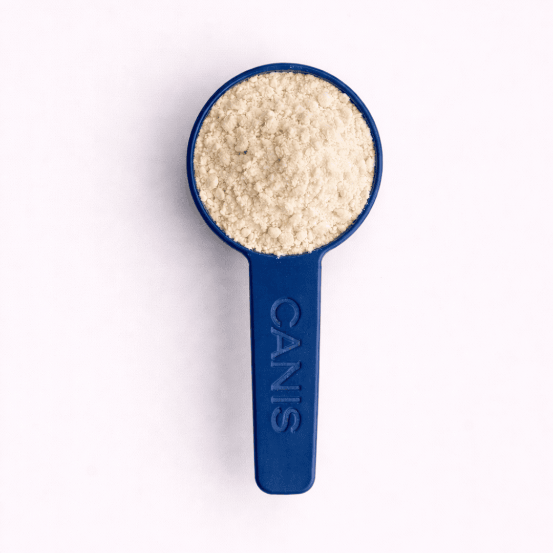 canis scooper