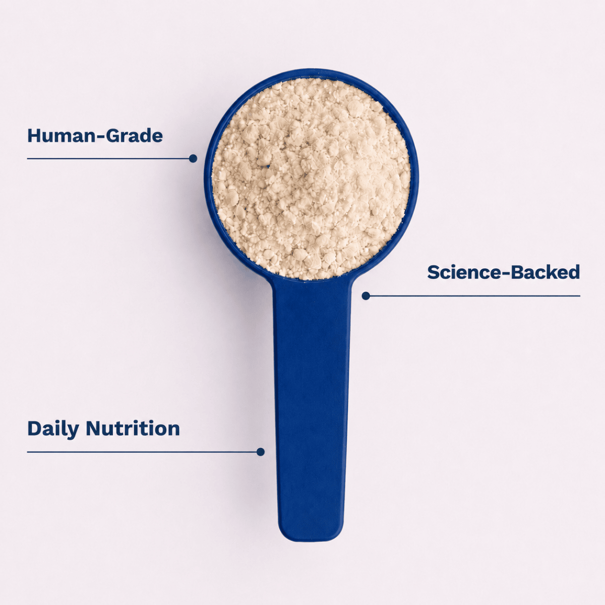 A blue measuring scoop filled with a light beige powder or granular supplement, shown on a plain light background with three callout text labels reading 'Human-Grade,' 'Science-Backed,' and 'Daily Nutrition.'.